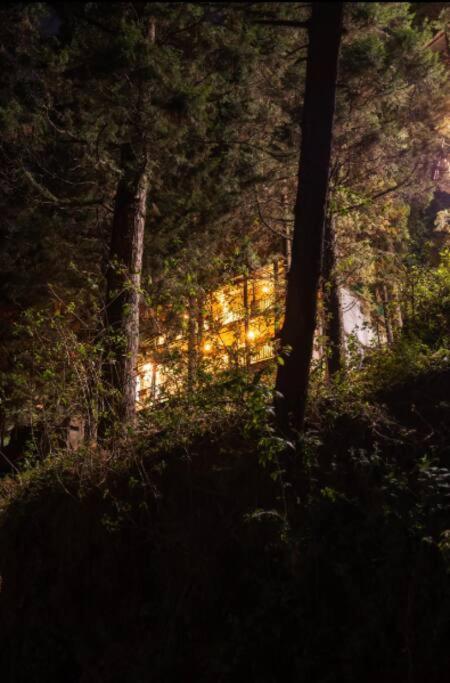 The Hill Story, Entire Chalet, Offbeat,Cozy Массури Экстерьер фото
